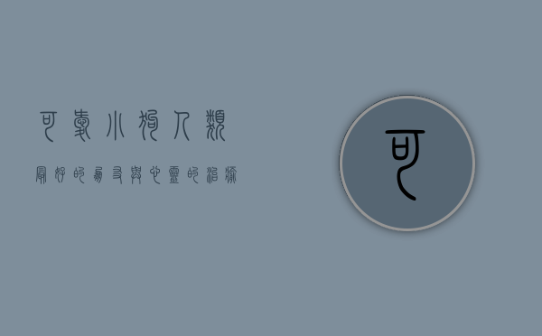 可爱小狗，人类最好的朋友与心灵的治愈者