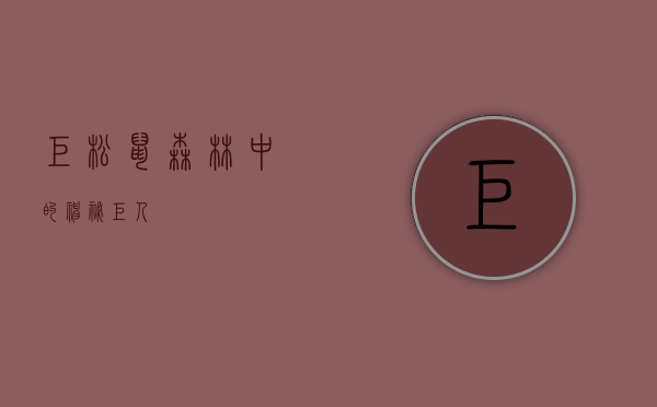 巨松鼠,森林中的神秘巨人 巨松鼠,森林中的神秘巨人