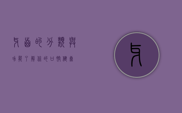 牙齿的分类与功能，了解你的口腔健康