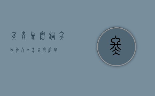 冬青怎么过冬（冬青入冬前怎么管理）