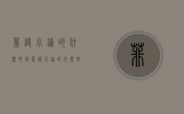 菲诗小铺的什么好用（菲诗小铺的什么好用又实惠）
