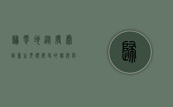 归零地，从废墟到重生，见证历史的伤痕与希望