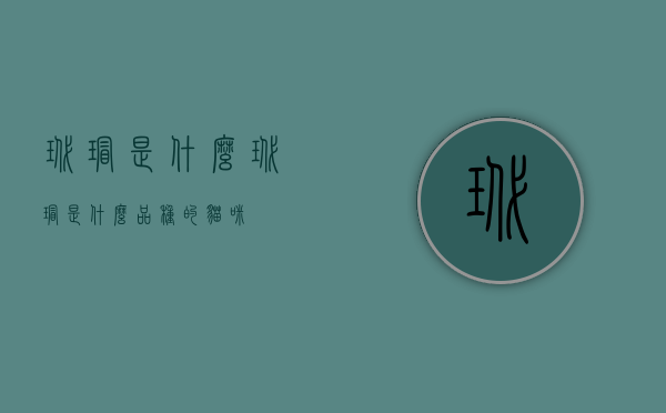 玳瑁是什么（玳瑁是什么品种的猫咪）