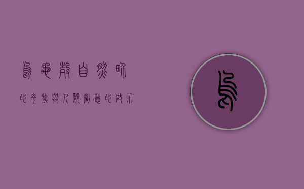 乌龟壳，自然界的奇迹与人类智慧的启示
