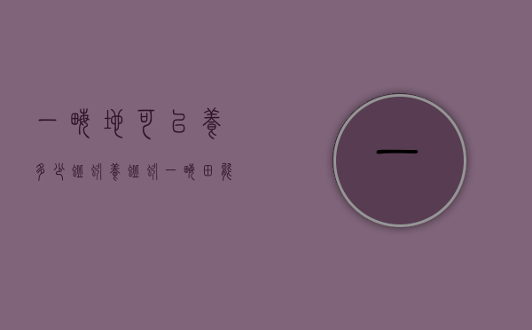 一亩地可以养多少蚯蚓（养蚯蚓一亩田能产多少斤）