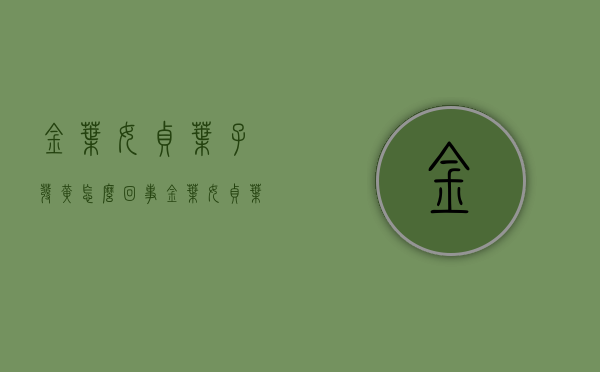金叶女贞叶子发黄怎么回事（金叶女贞叶子发白是什么原因）