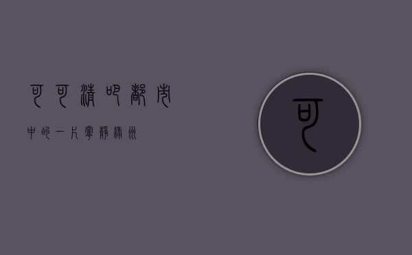 可可清吧，都市中的一片宁静绿洲