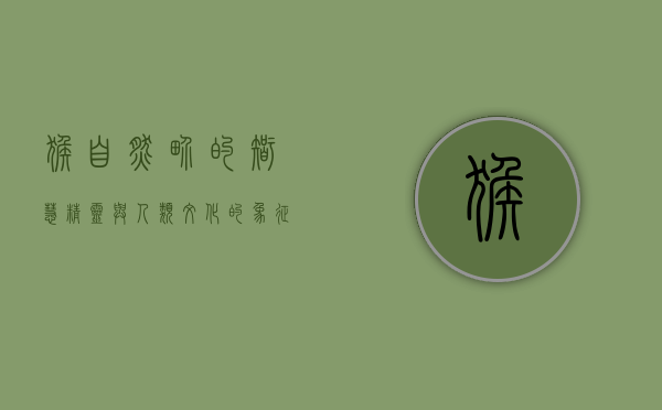 猴，自然界的智慧精灵与人类文化的象征