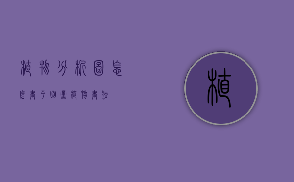 植物分析图怎么画（平面图植物画法）