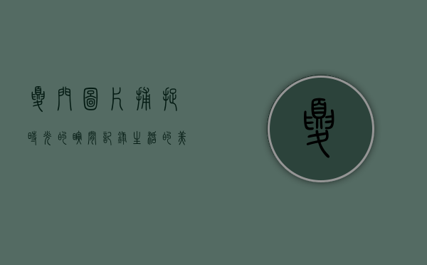夏门图片，捕捉时光的瞬间，记录生活的美好