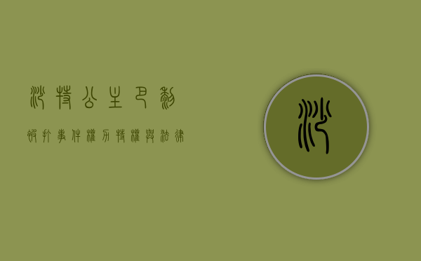 沙特公主巴黎被打事件，权力、特权与法律的对峙