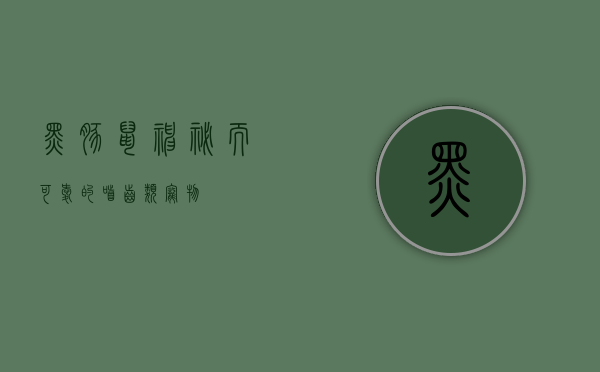 黑豚鼠，神秘而可爱的啮齿类宠物