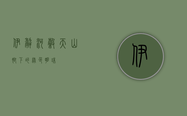 伊犁河谷，天山脚下的绿色明珠