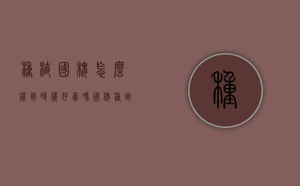 种植国槐怎么样到时候好卖吗（国槐种到什么地方最好）