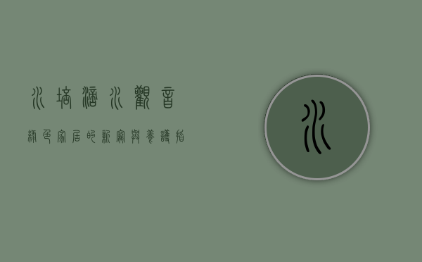 水培滴水观音，绿色家居的新宠与养护指南