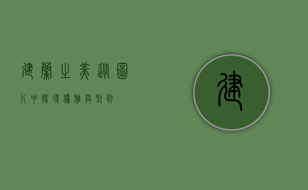 建兰之美，从图片中探寻优雅与坚韧