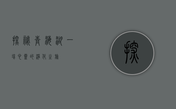 探秘青海湖，一场心灵的净化之旅