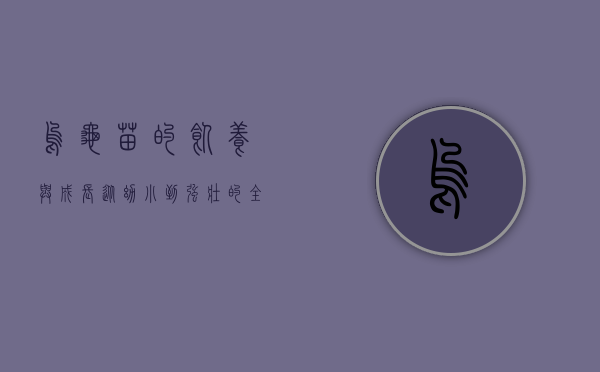乌龟苗的饲养与成长，从幼小到强壮的全程指南