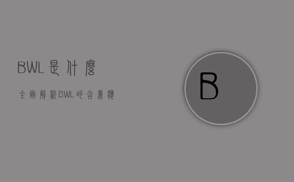BWL是什么？全面解析BWL的含义、应用与未来发展