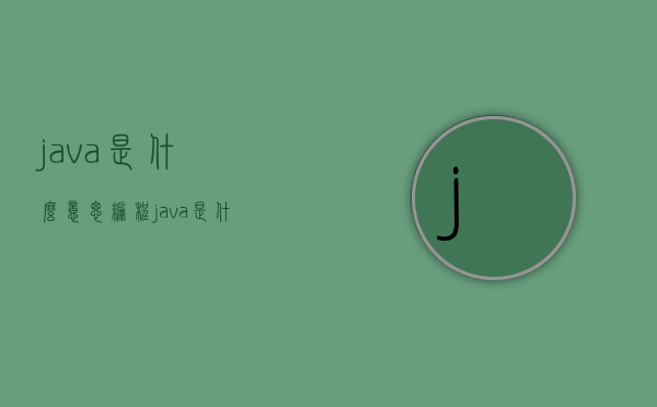 java是什么意思（编程java是什么意思）