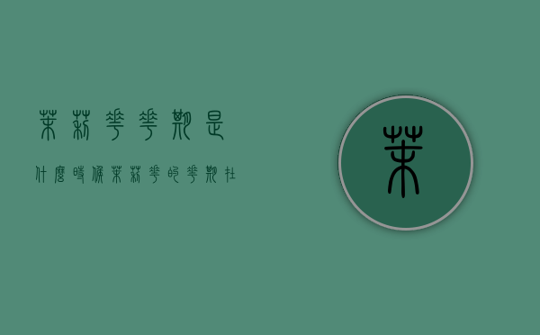 茉莉花花期是什么时候（茉莉花的花期在几月）