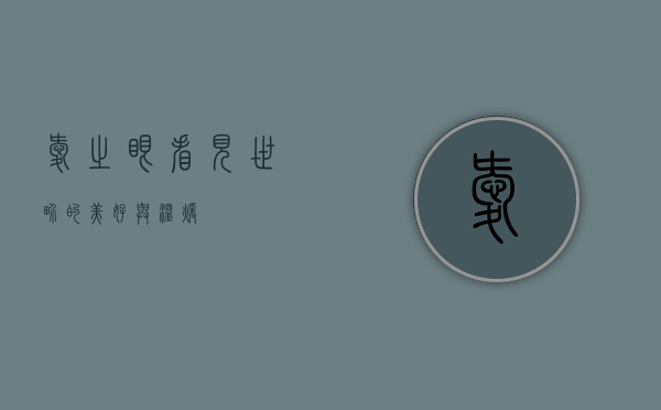 爱之眼，看见世界的美好与温暖