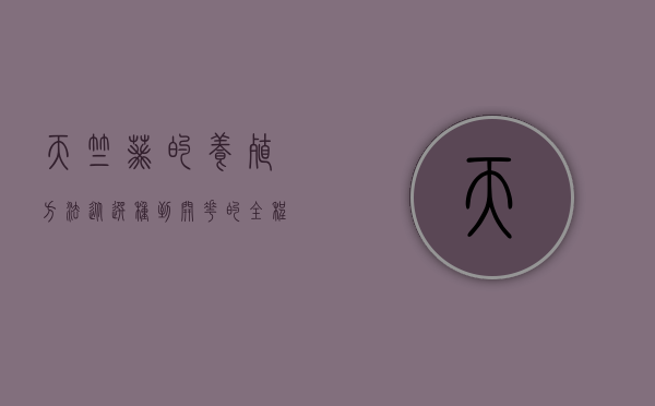 天竺葵的养殖方法，从选种到开花的全程指南