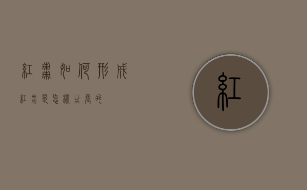 红枣如何形成（红枣是怎样生长的）