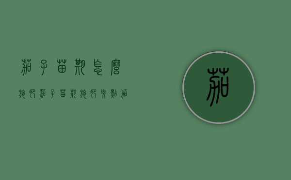 茄子苗期怎么施肥 茄子苗期施肥要点（茄子苗施肥管理技术）