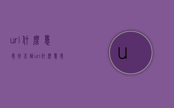 url什么意思（找不到url什么意思）