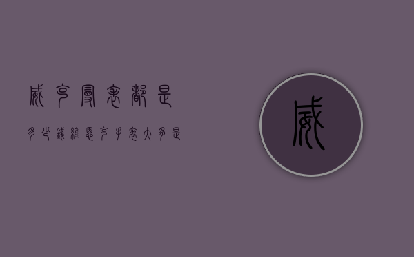 威克曼表都是多少钱（维恩克手表大多是多少钱）