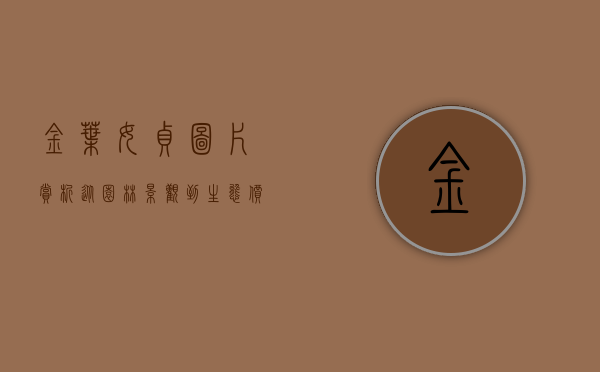 金叶女贞图片赏析，从园林景观到生态价值的全面解读