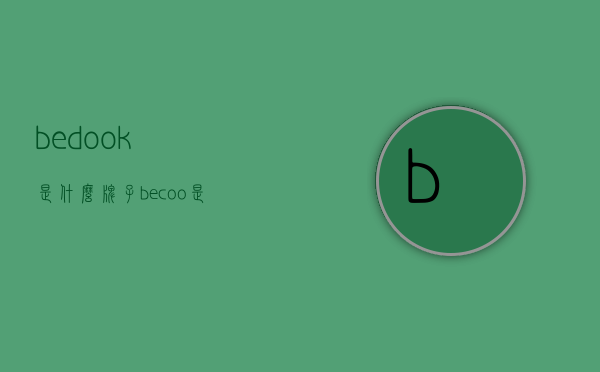 bedook是什么牌子（becoo是什么牌子的）