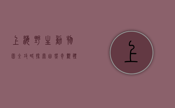上海野生动物园全攻略，探索自然奇观，体验动物世界的魅力