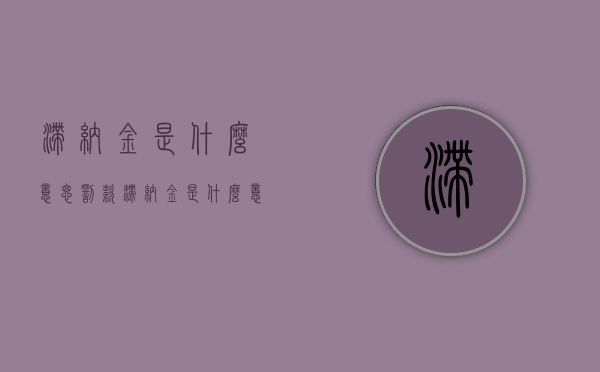 滞纳金是什么意思（罚款滞纳金是什么意思）