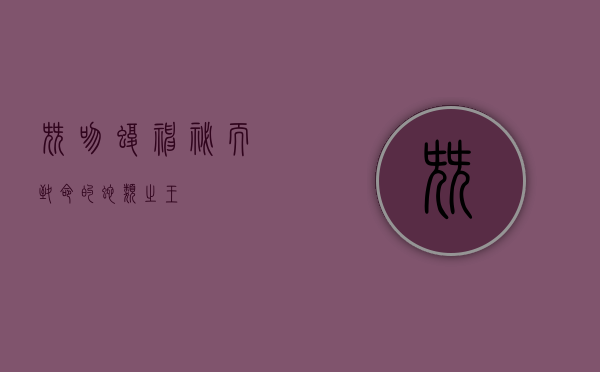 尖吻蝮，神秘而致命的蛇类之王