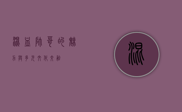 混血帅哥的魅力与多元文化交融