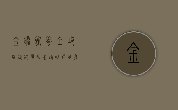 金蟾饲养全攻略，从选择到养护的详细指南