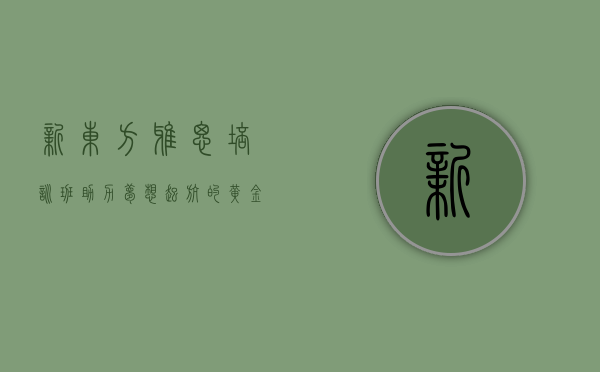 新东方雅思培训班，助力梦想起航的黄金阶梯