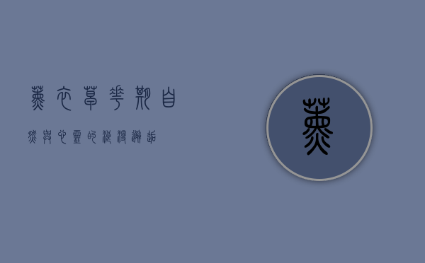 薰衣草花期，自然与心灵的浪漫邂逅