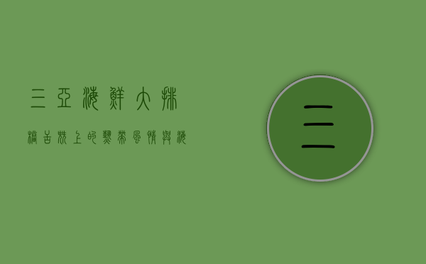 三亚海鲜大排档，舌尖上的热带风情与海洋馈赠