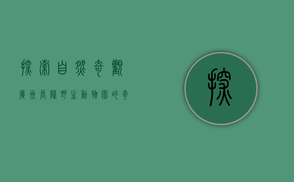 探索自然奇观，广州长隆野生动物园的奇妙之旅