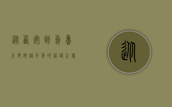 从西安到乌鲁木齐，跨越千年的丝路之旅