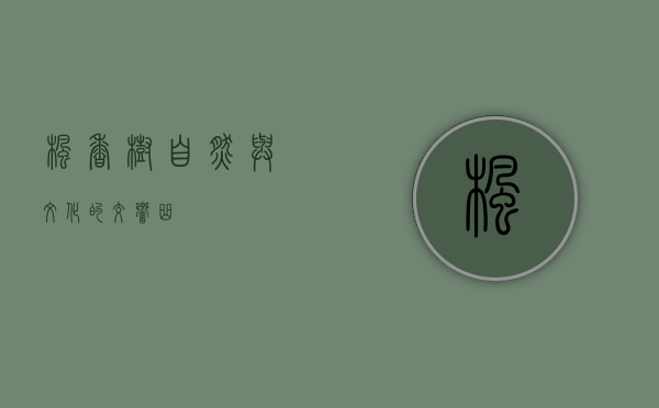 枫香树，自然与文化的交响曲