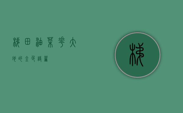 梯田油菜花，大地的金色诗篇