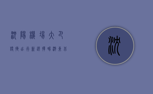 沈阳机场大巴，便捷出行新选择，畅游东北的绿色通道