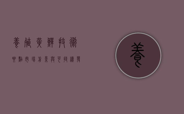 养殖黄鳝，技术要点、市场前景与可持续发展之路