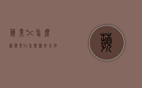 苹果5c怎么样（苹果5c怎么样好不好）
