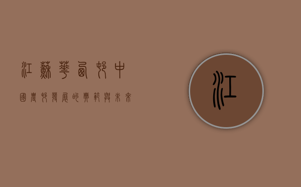 江苏华西村，中国农村发展的典范与未来展望