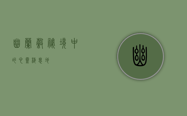 幽兰谷，秘境中的心灵栖息地